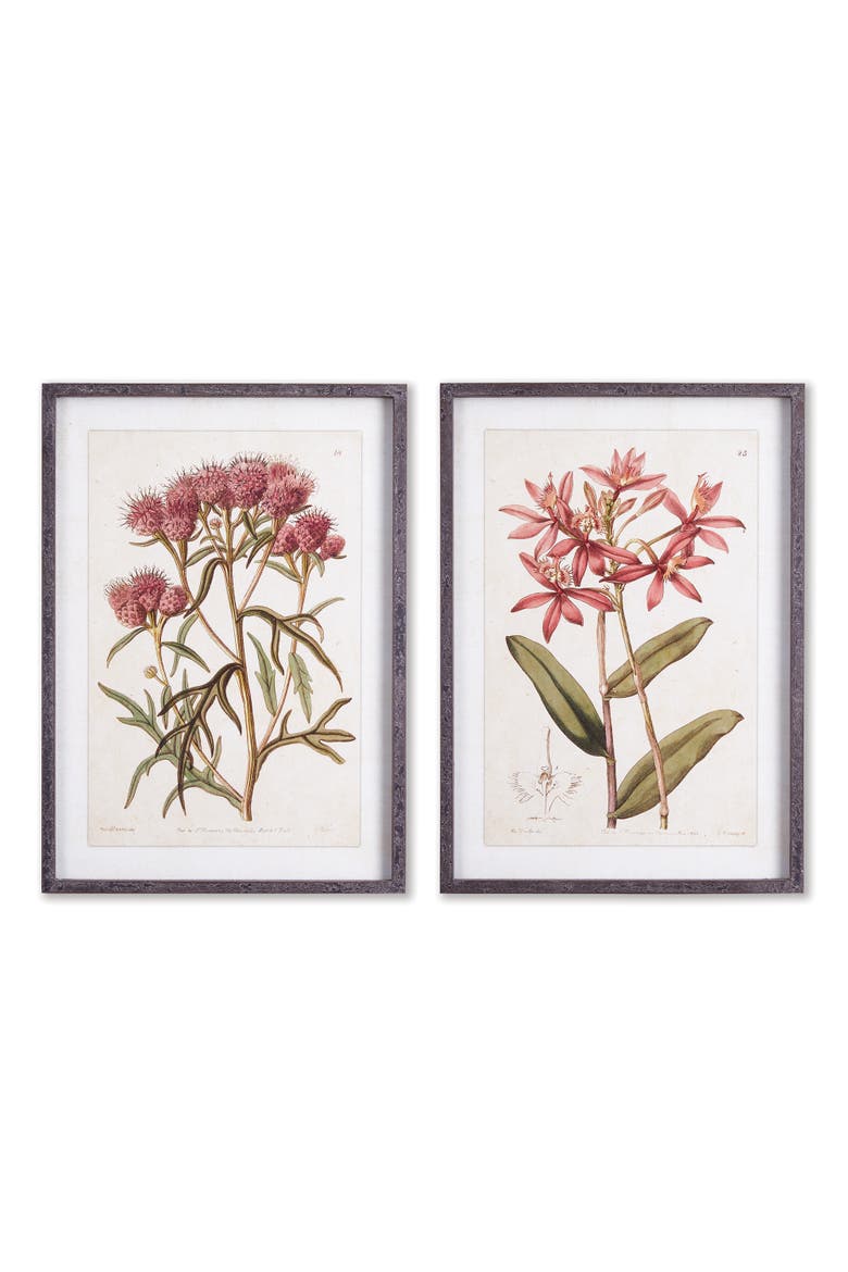 Pretty In Pink Vintage Prints Set of 2, Main, color, Pink