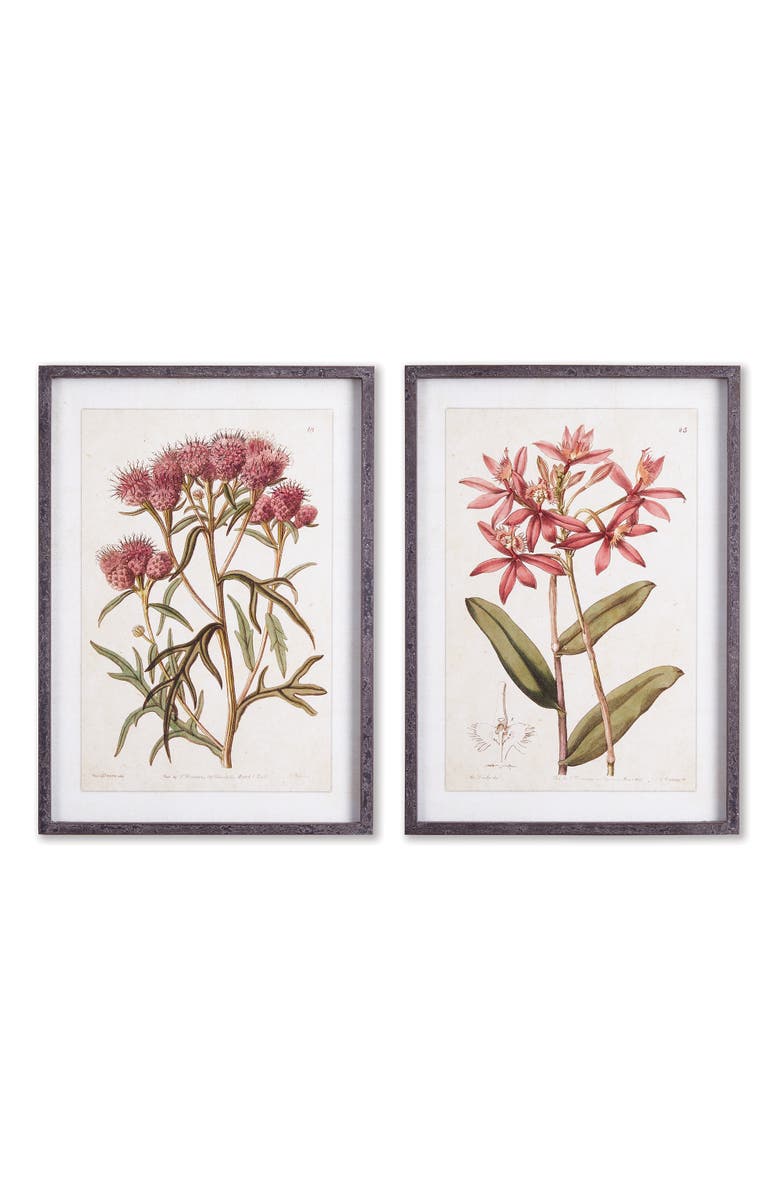 Napa Home & Garden Pretty In Pink Vintage Prints Set of 2, Main, color, Pink