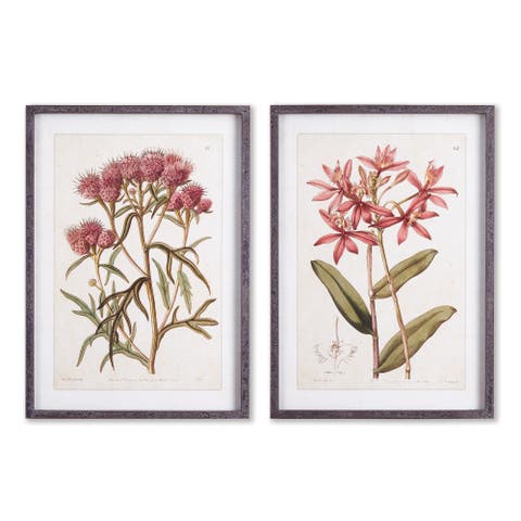 Pretty In Pink Vintage Prints Set of 2