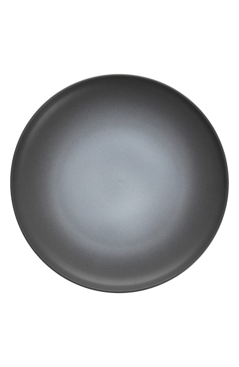 Fortessa Cloud Terre Set of 4 Hugo Plates, Alternate, color,