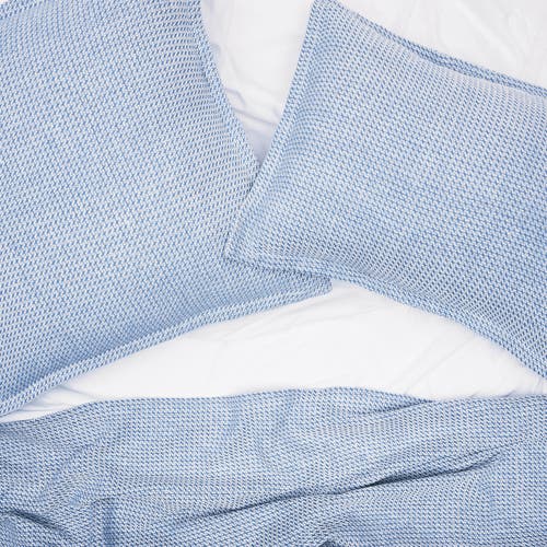 C & F Home C&f Home Langford Euro Sham In Blue