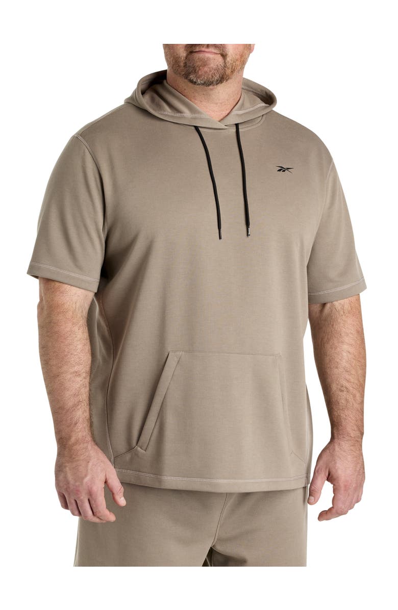 Reebok Big & Tall Performance Hoodie, Main, color, Taupe