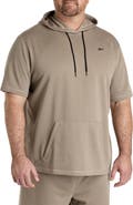Reebok Big & Tall Performance Hoodie