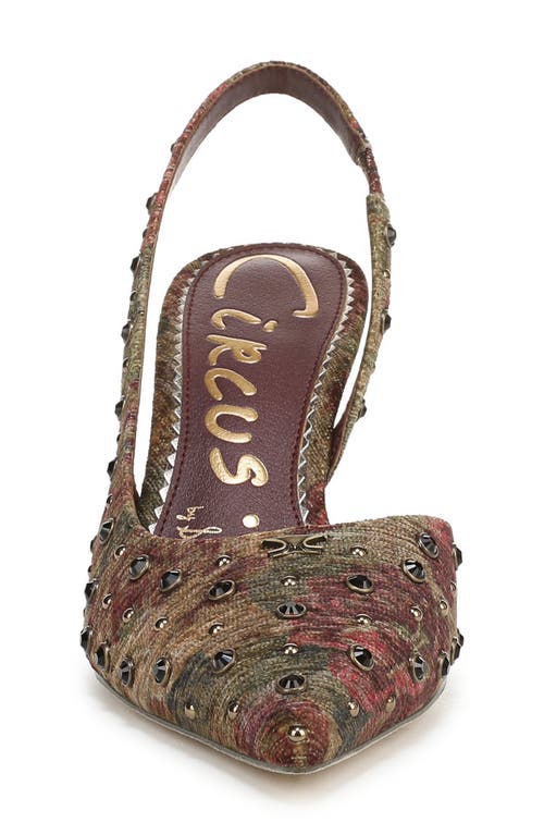 Circus Ny By Sam Edelman Tallie Pointed Toe Slingback Pump In Brown