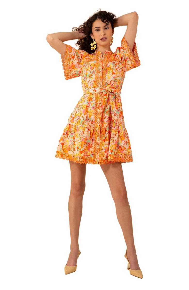 Hale Bob Mariana Poplin Dress, Alternate, color, 
