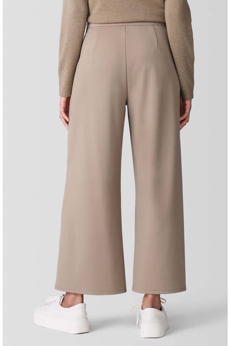 Ponte Wide Leg Pants, Alternate, color, BISCUIT