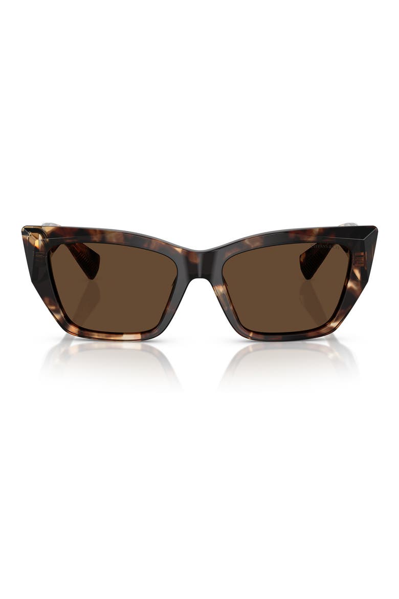 54mm Cat Eye Sunglasses, Main, color, BROWN