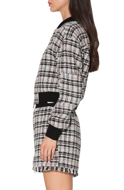 Walter Baker Raina Tweed Bomber Jacket In Montauk Tweed