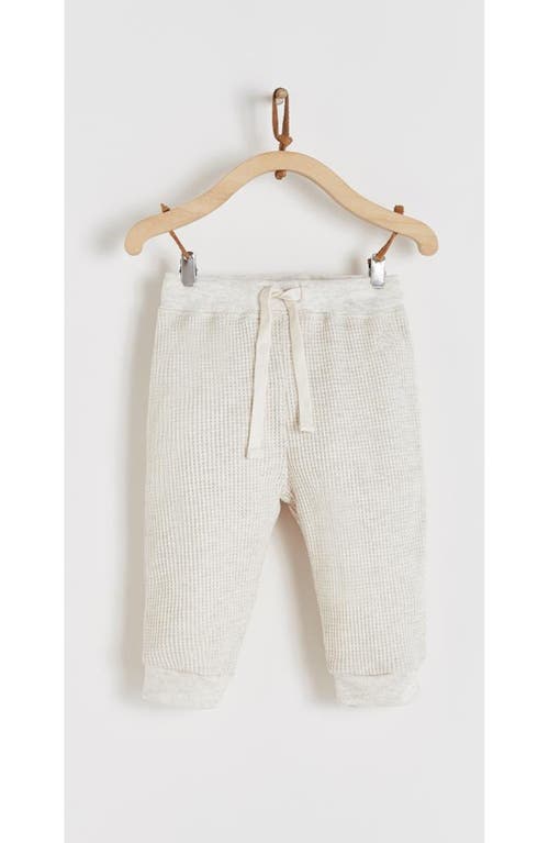 Babycottons Pima Cotton Waffle Knit Pants Sidney For Infant In White