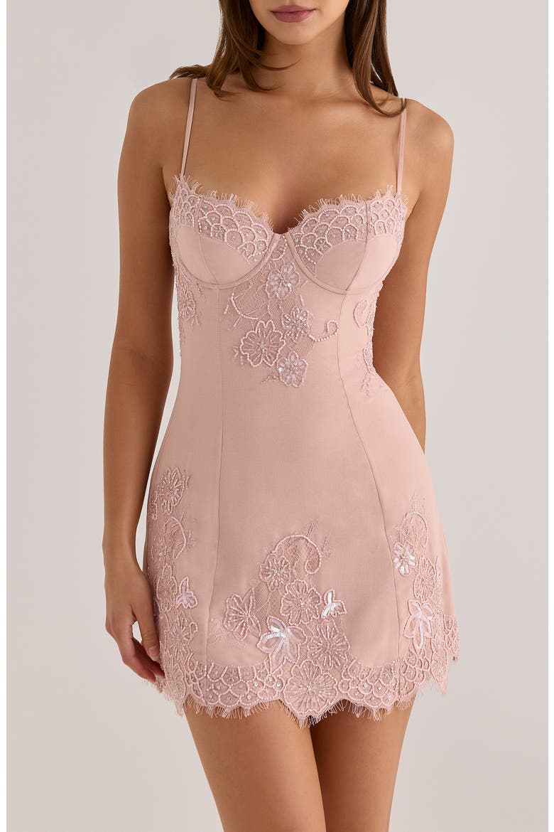 Soraya Embellished Lace Georgette Minidress, Alternate, color, BLUSH