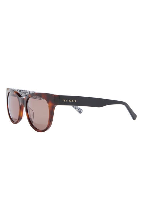 Ted Baker 50mm Round Sunglasses In Brown