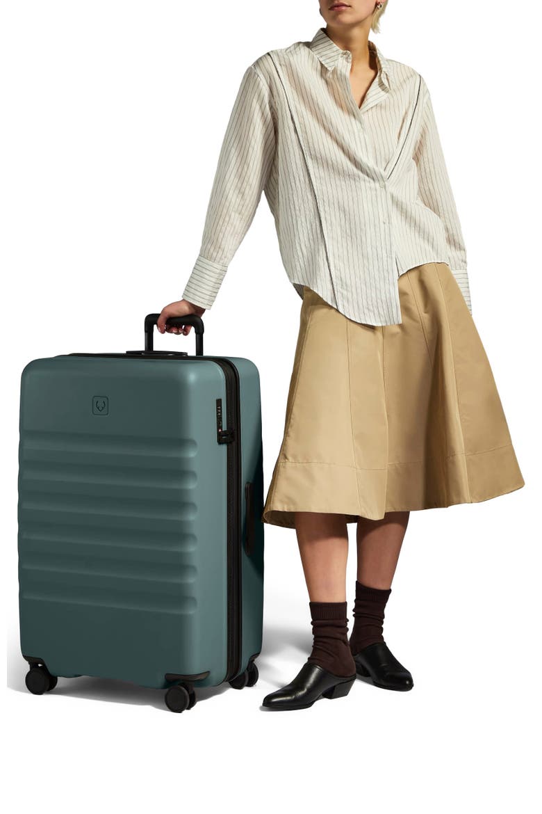 Icon Stripe Large Luggage, Alternate, color, Glade Blue