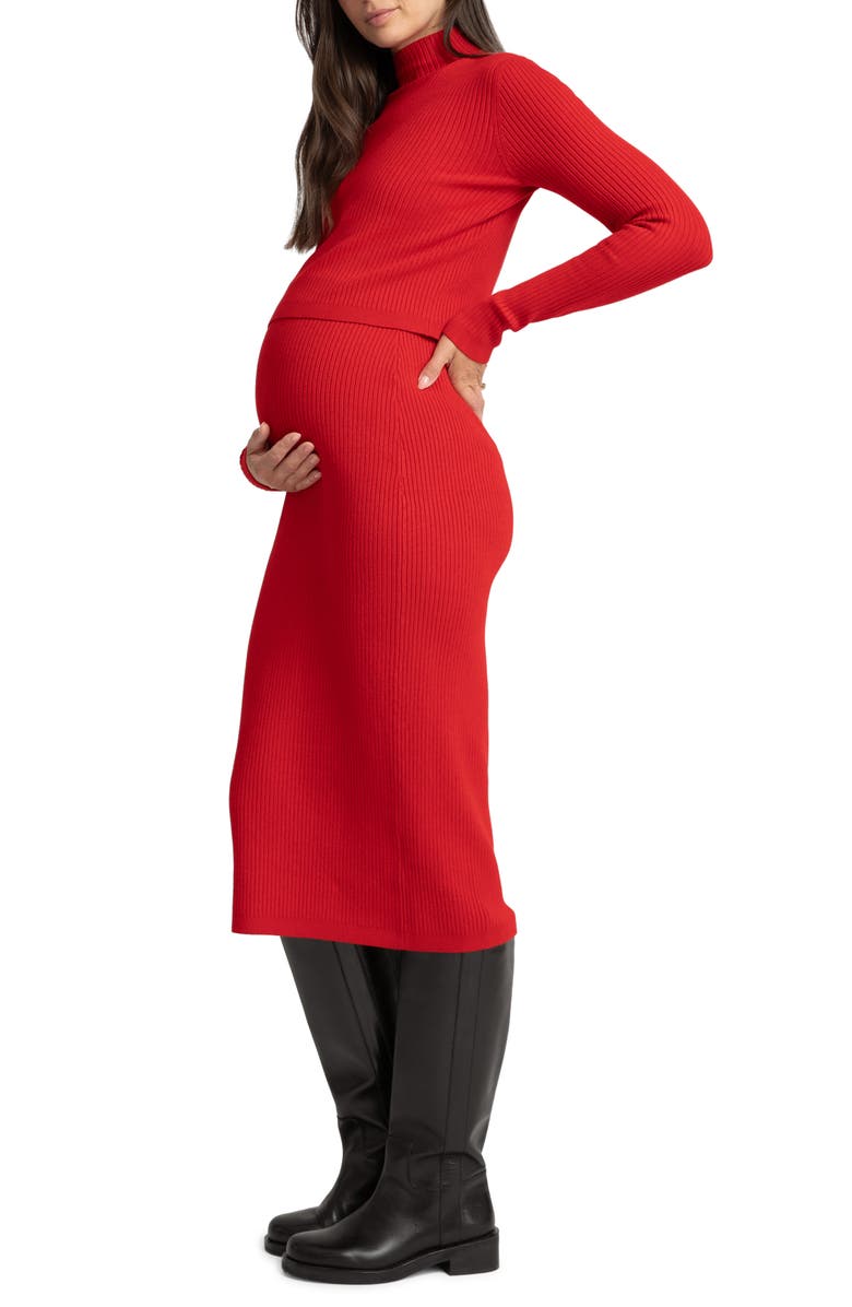 Seraphine Long Sleeve Rib Maternity/Nursing Body-Con Dress, Alternate, color, 