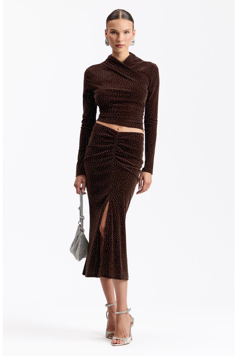 Crystal Embellished Velvet Midi Skirt, Alternate, color, BROWN