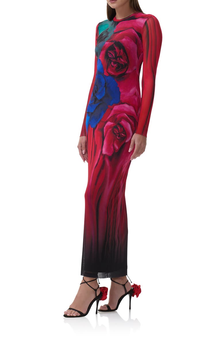 Didi Printed Long Sleeve Mesh Maxi Dress, Alternate, color, MULTI BLUR ROSE