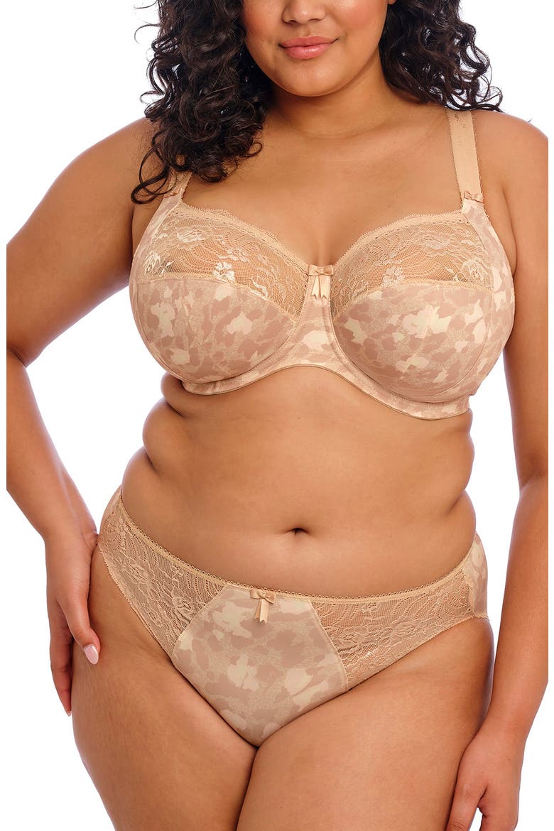 Morgan Full Figure Briefs, Alternate, color, TOASTED ALMOND