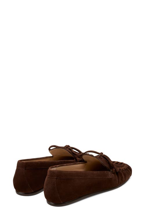Stuart Weitzman Britt Bow Loafer In Brown