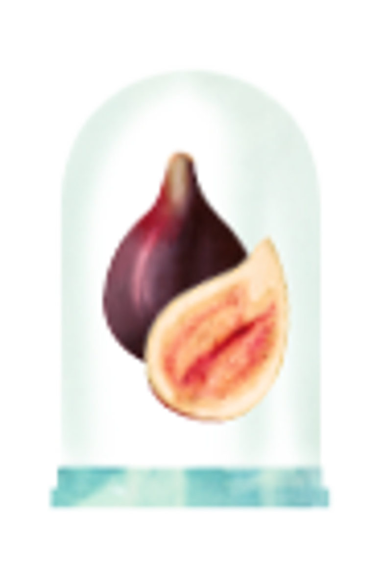 GRANADO Suzette Eau de Toilette, Alternate, color, Clear