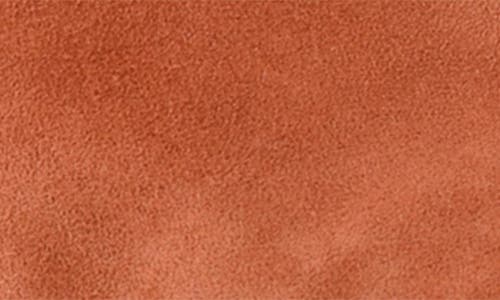 Seychelles Obsession Pointed Toe Kitten Heel Mule In Brown