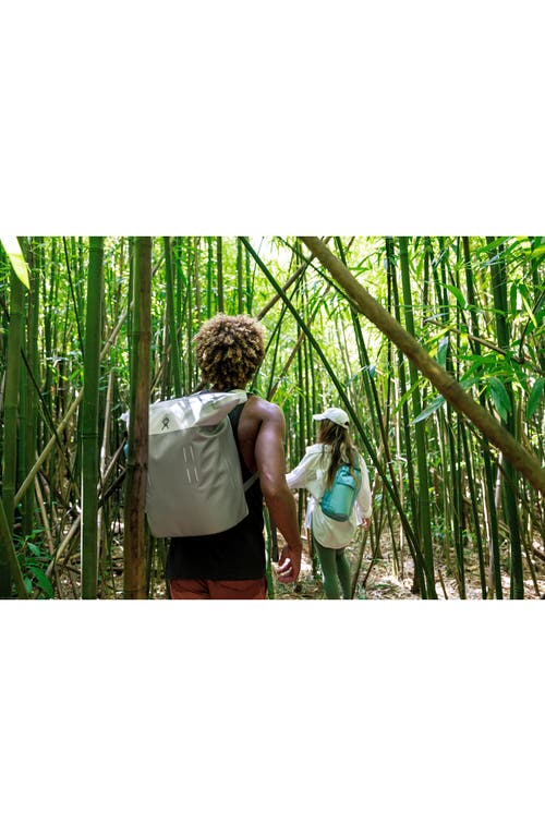 Hydro Flask Day Escape™ 26-liter Cooler Tote In Peppercorn