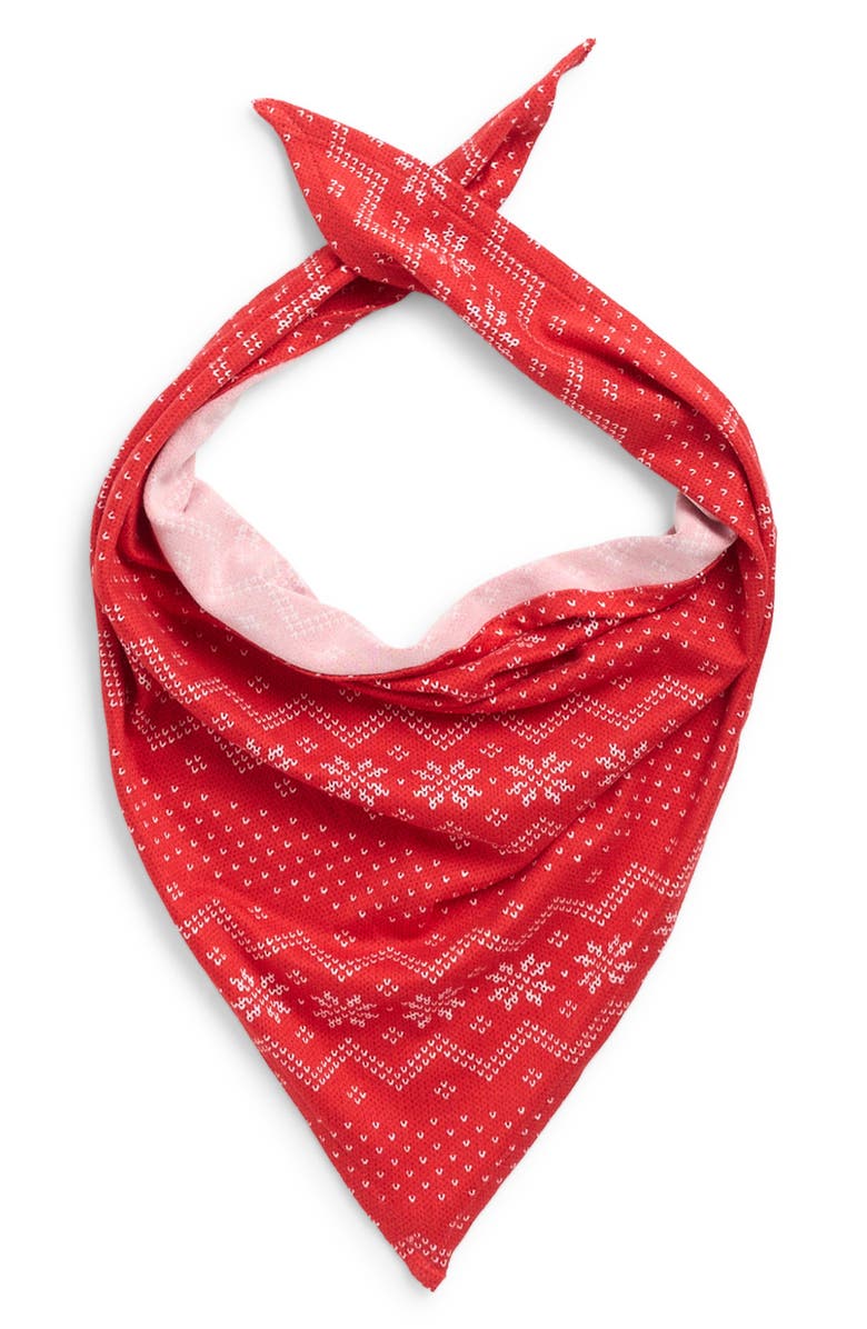 Pillow Talk Matching Family Fair Isle Print Pet Bandana, Main, color, Red- White Snowflake Fair Isle