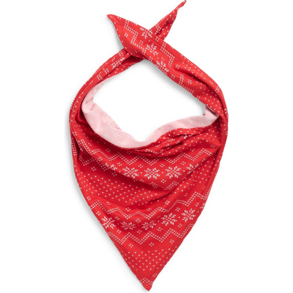 Pillow Talk Matching Family Fair Isle Print Pet Bandana