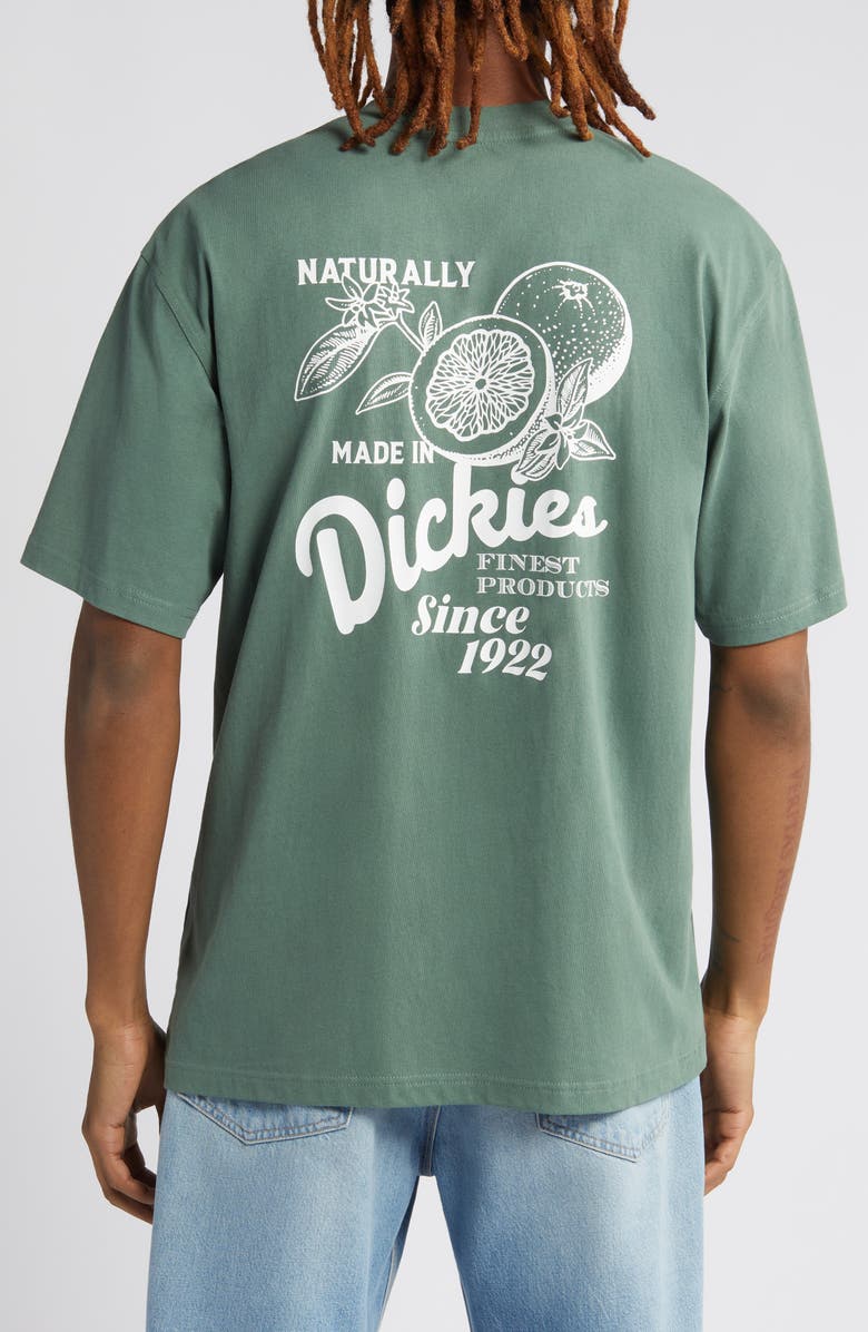 Dickies Raven Cotton Graphic T-Shirt, Alternate, color, 