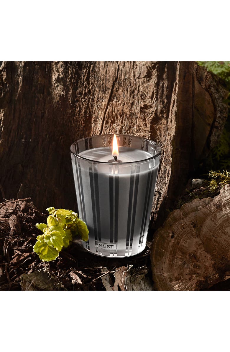 NEST New York Charcoal Woods Scented Candle, Alternate, color, 