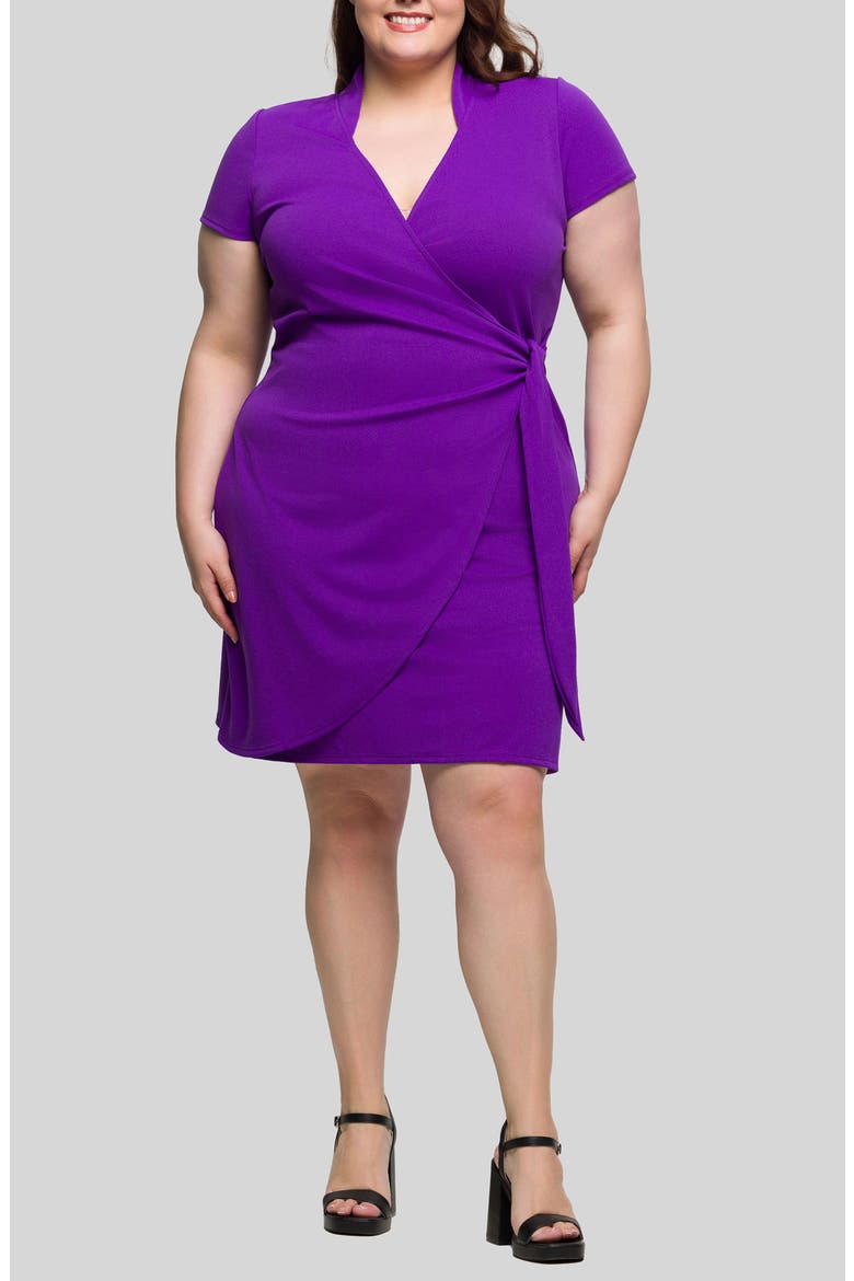 Wrap Dress, Main, color, PURPLE
