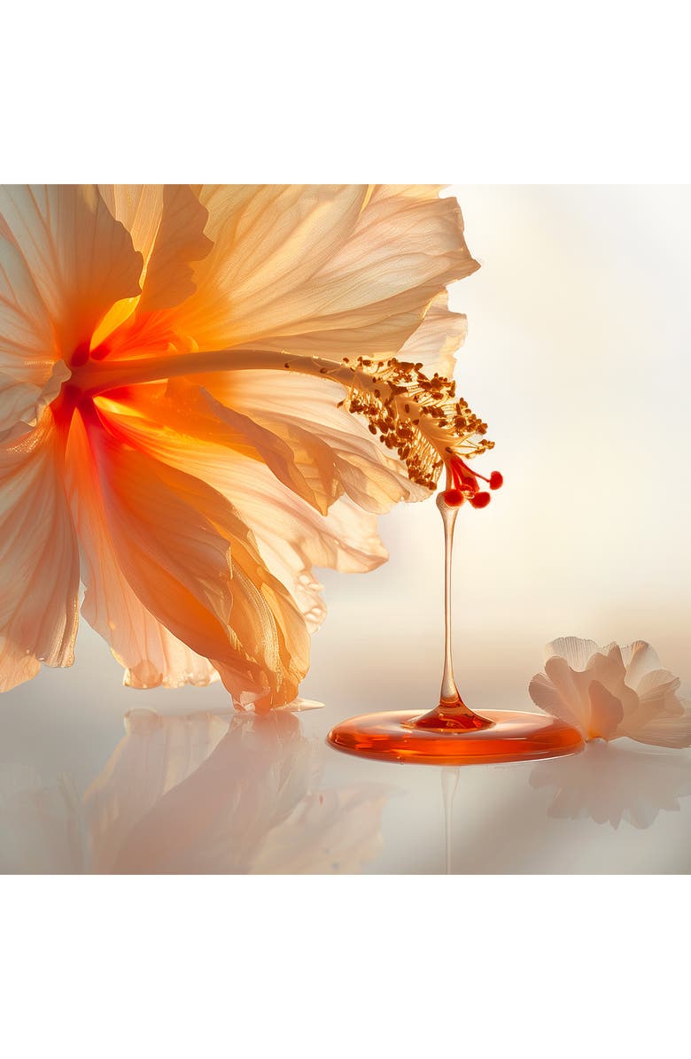 Leonor Greyl PARIS Gel à l’hibiscus Alcohol-Free Styling Gel, Alternate, color, 