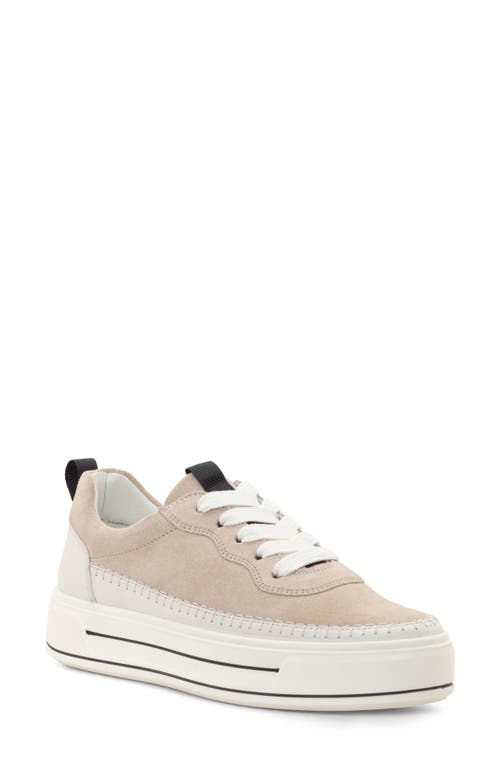 Ara Corsica Platform Sneaker In Cream/shell