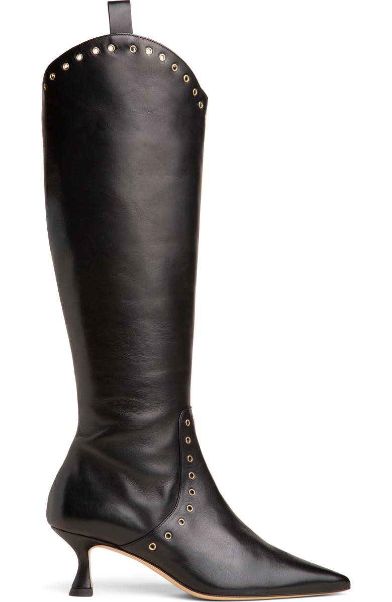 BEAUTIISOLES Vanessa Pointed Toe Tall Boot, Alternate, color, Black