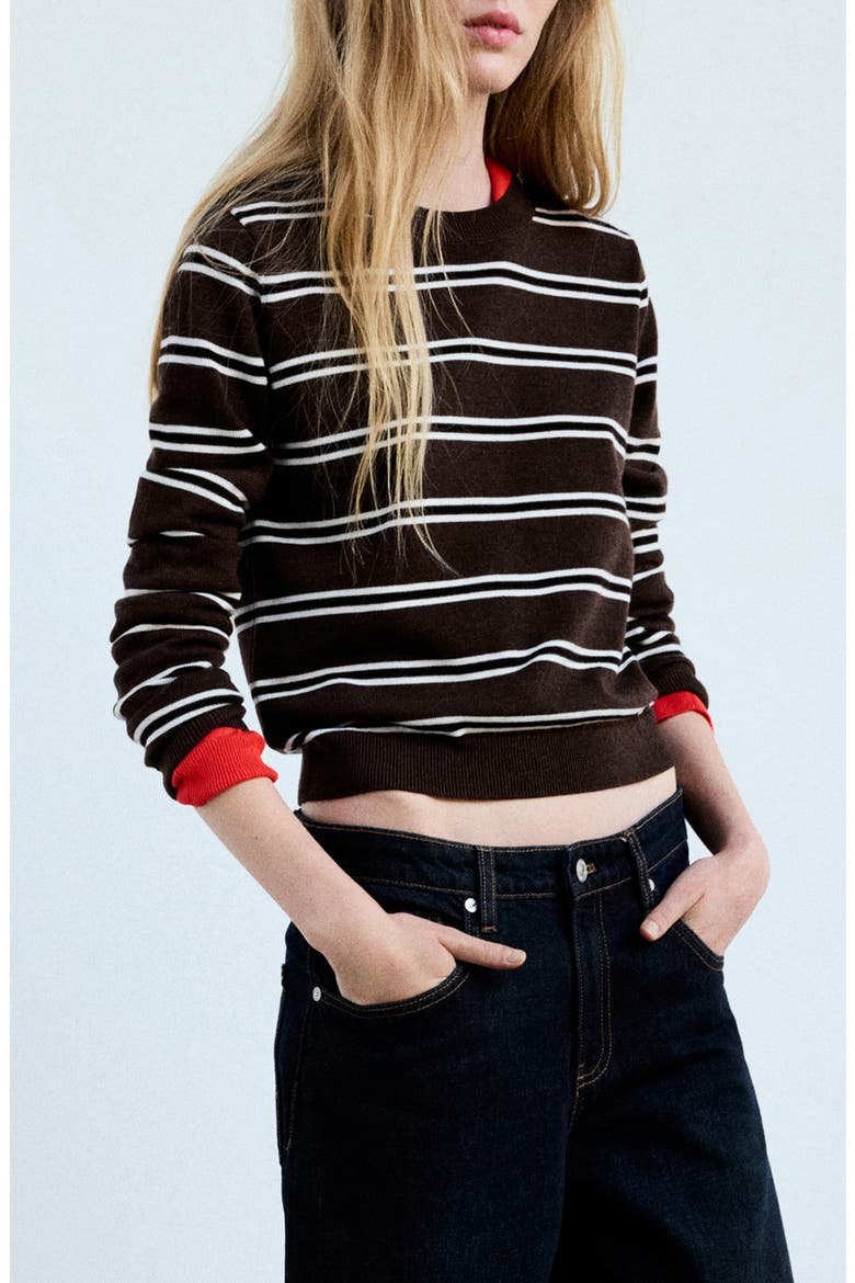 Stripe Crewneck Sweater, Main, color, CHOCOLATE