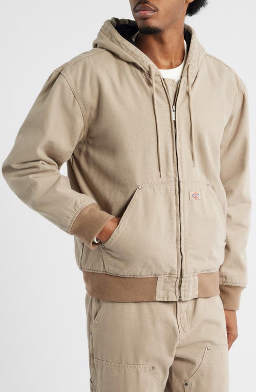 Dickies Hilham Hooded Canvas Jacket In Nude