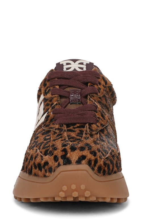 Sam Edelman Langley 3 Genuine Calf Hair Sneaker In Animal Print