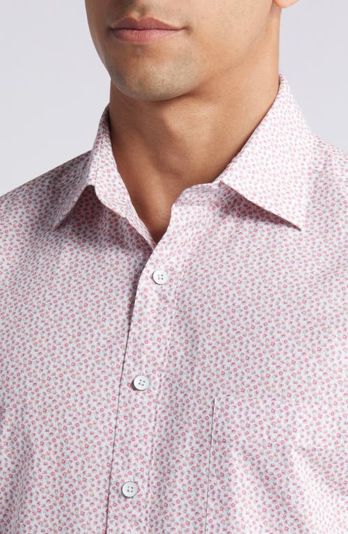 Rodd & Gunn Grassy Hills Short Sleeve Button-up Shirt In Rosewater