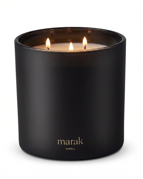 Dwell - Vanilla & Amber Wood - 3-Wick 23 Oz / 652 G