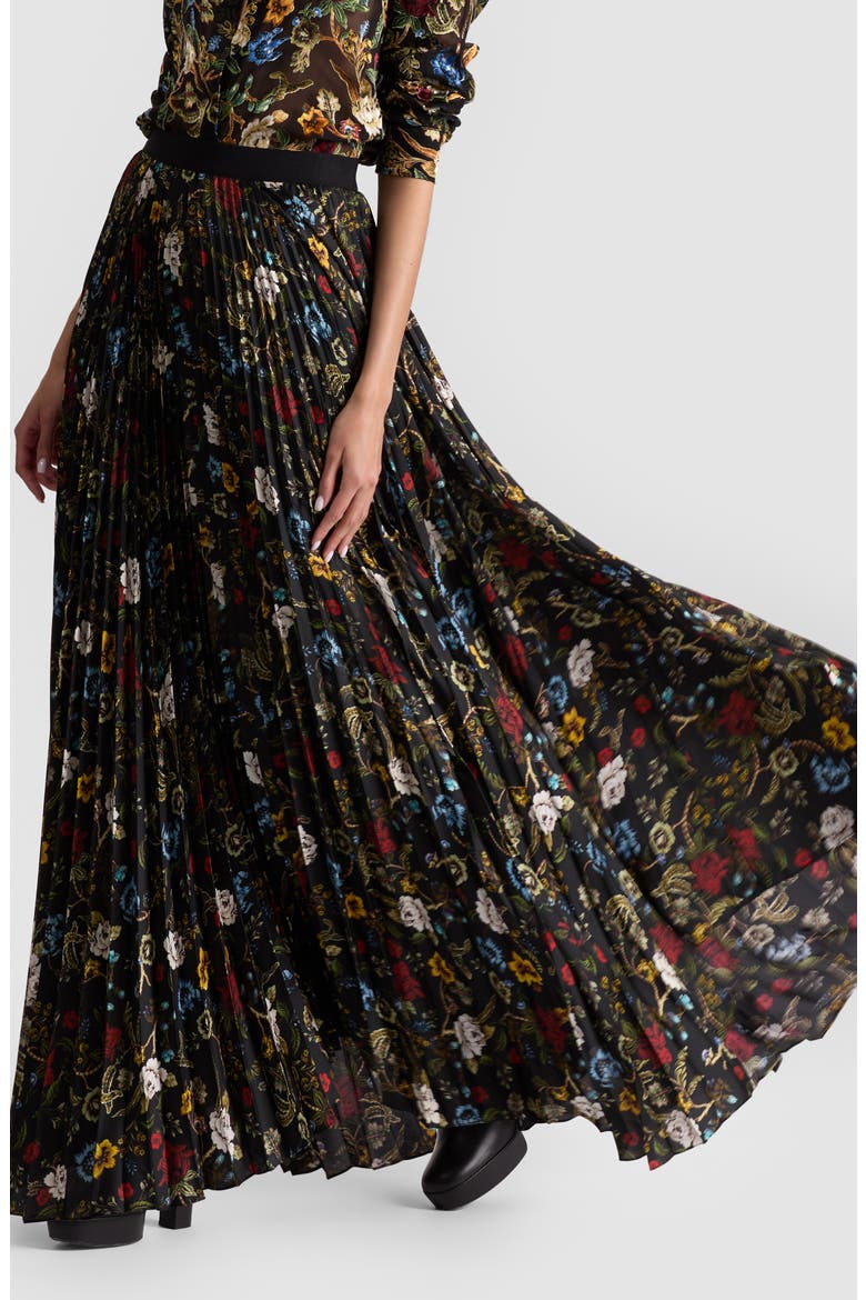 Katz Pleated Maxi Skirt, Alternate, color, TAPESTRY TRAILS/ BLACK