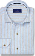 David Donahue Stripe Slub Linen Button-Up Shirt
