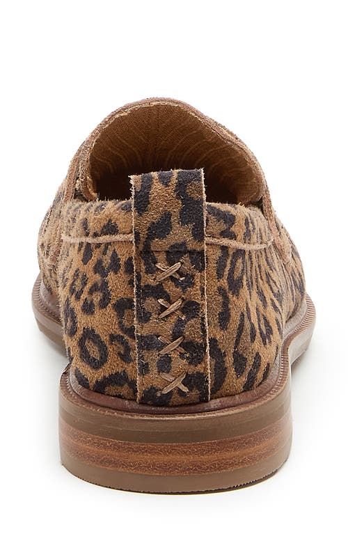 Kelsi Dagger Brooklyn Lens Penny Loafer In Leopard