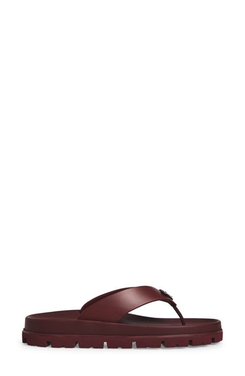 Prada Lug Sole Flip Flop In Burgundy