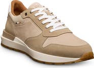 Allen Edmonds Lionel Lace-Up Sneaker