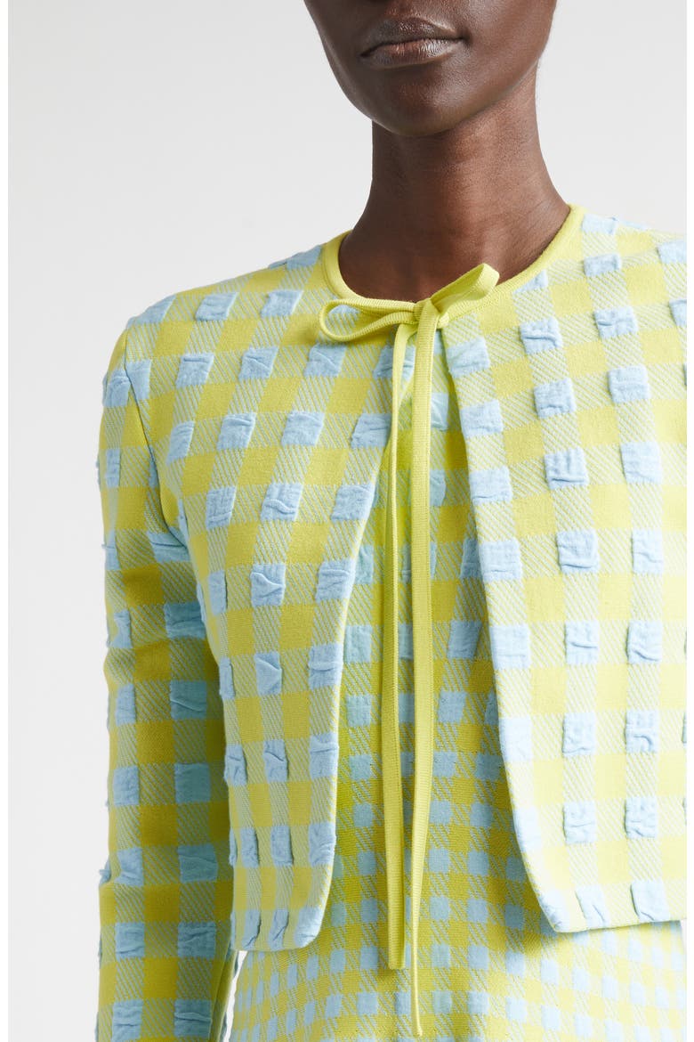 Crop Gingham Jacquard Cardigan, Alternate, color, CERULEAN/ PEAR