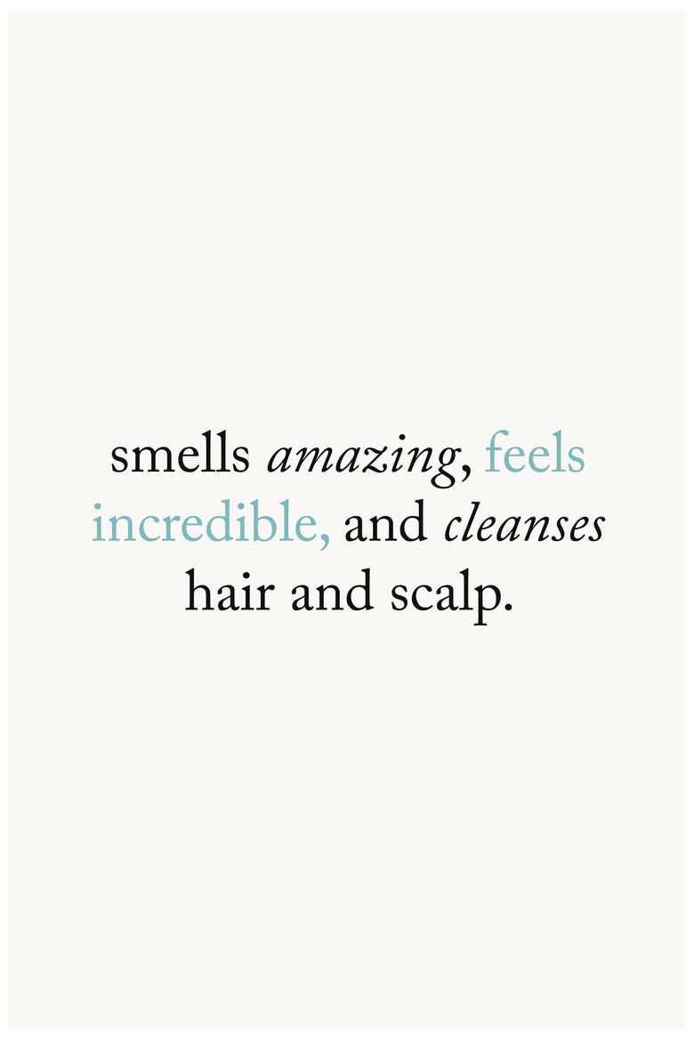 Himalayan Salt Scalp Scrub Shampoo, Alternate, color, NO COLOR
