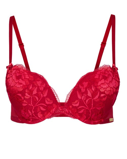 Adore Me Jaya Push Up Plunge Bra In Dark Red Floral