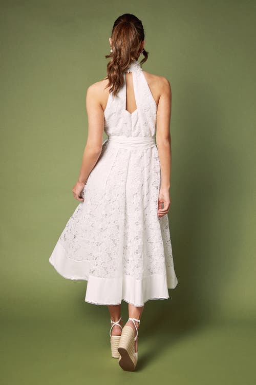 Coast Halterneck Belted Lace Midi Dress In Gold