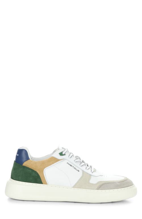 Ambitious 13449 Low Top Sneaker In Sand