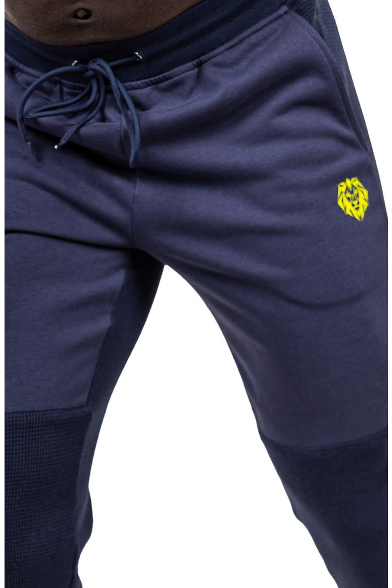 Drawstring Joggers, Alternate, color, BLUE