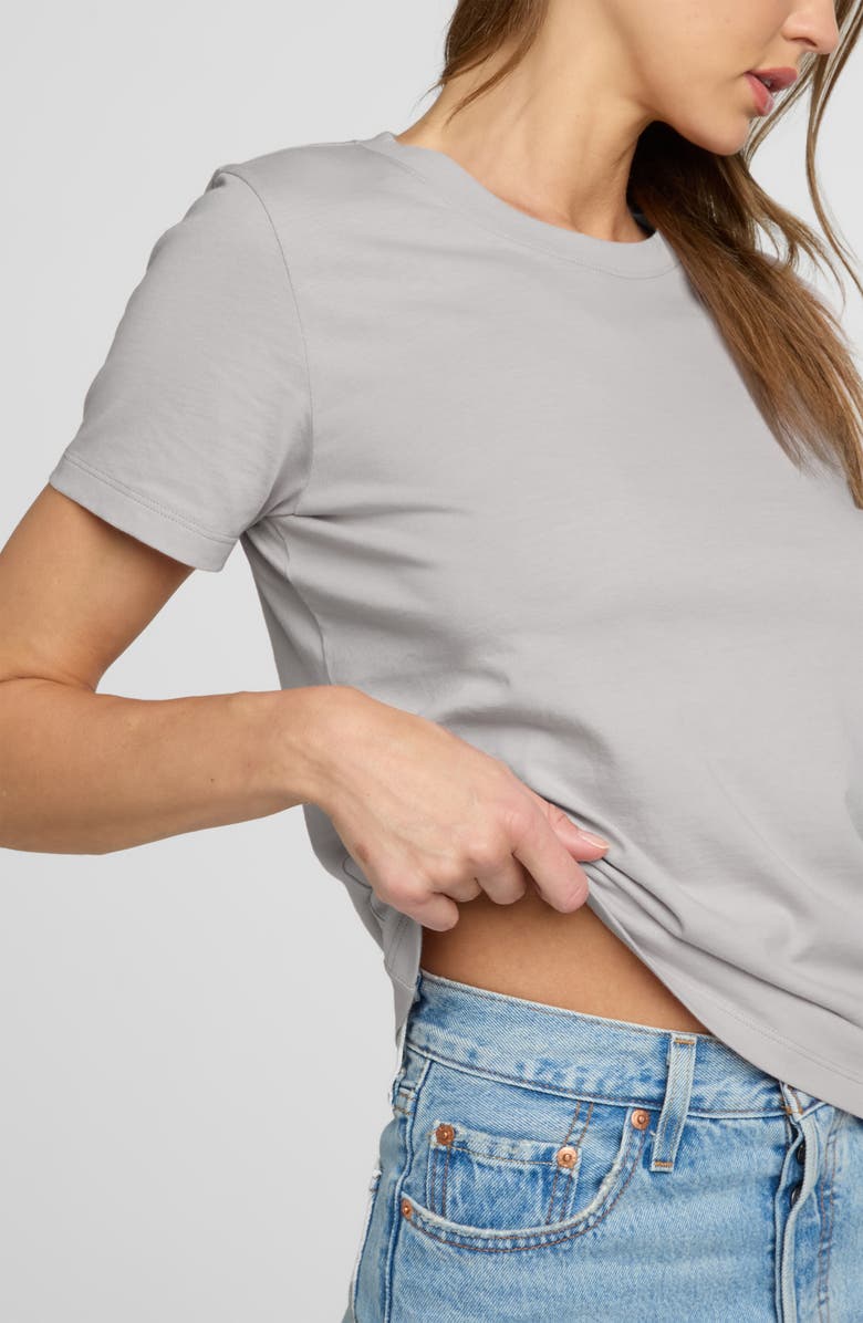 The Standard Stitch The Organic Cotton Crew Tee, Alternate, color, Oyster