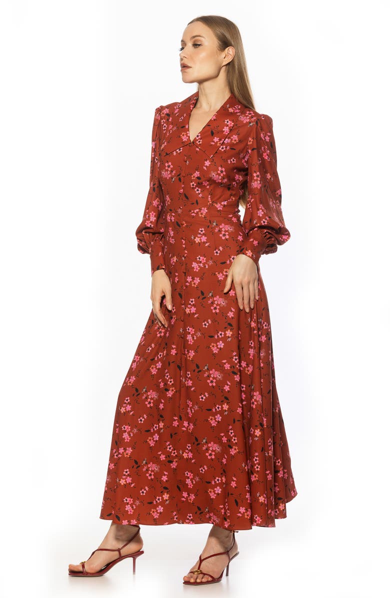 Alexia Admor Kate Collared Long Sleeve Maxi Dress, Alternate, color, Brown Floral